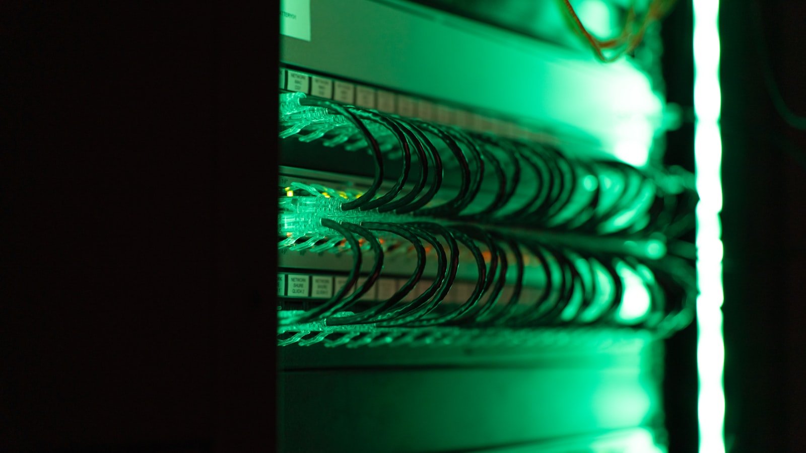 Shared Hosting vs VPS vs Cloud Hosting: A Complete Beginner’s Guide